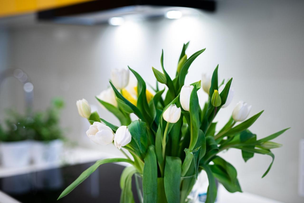 Apartamenty Tespis - Francuska Atal Park II คาโตวีตเซ ภายนอก รูปภาพ